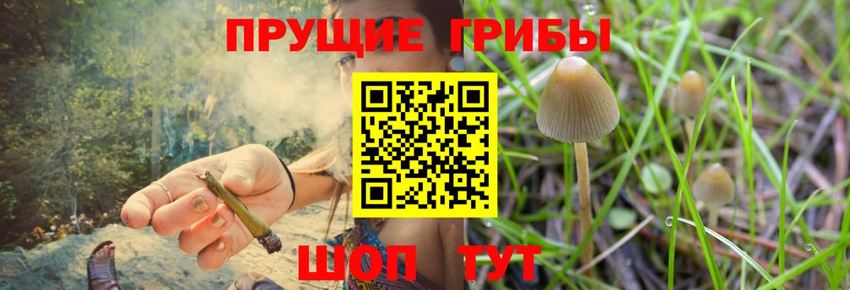 Галлюциногенные грибы мицелий  Вход с VPN  Шебекино 
